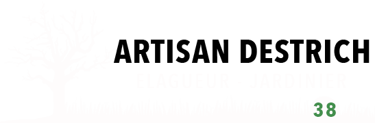 Logo-elagage-